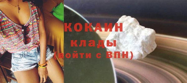 индика Алексеевка