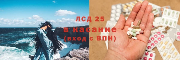стафф Россошь