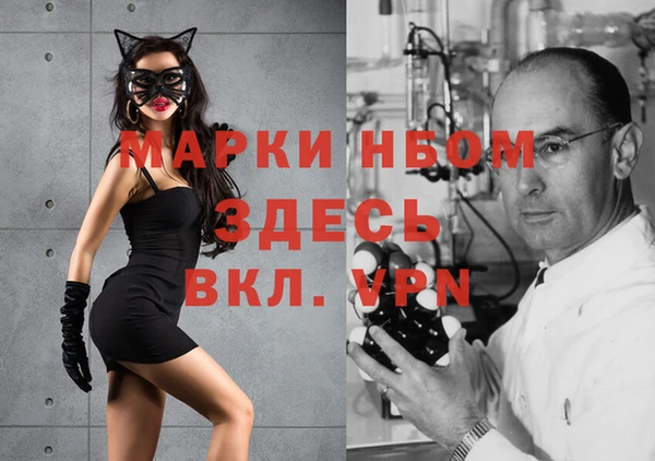 индика Алексеевка