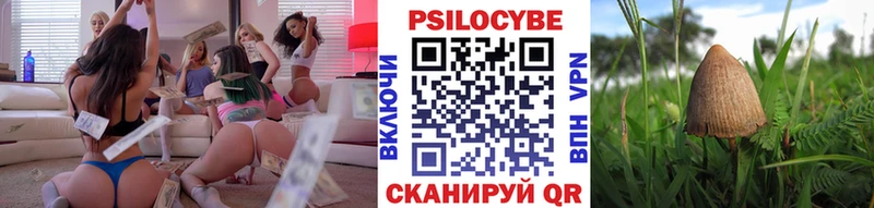 купить наркотики цена Дмитровск Галлюциногенные грибы Psilocybine cubensis