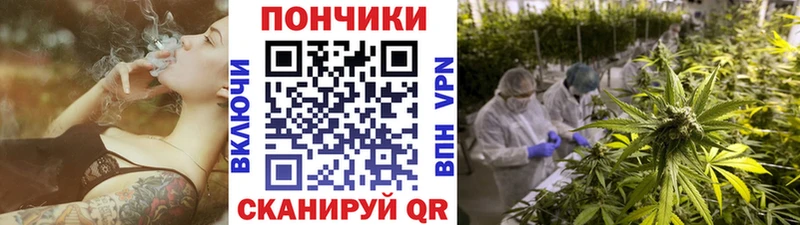 сайты даркнета наркотические препараты  Дмитровск  Бошки Шишки AK-47  закладка 